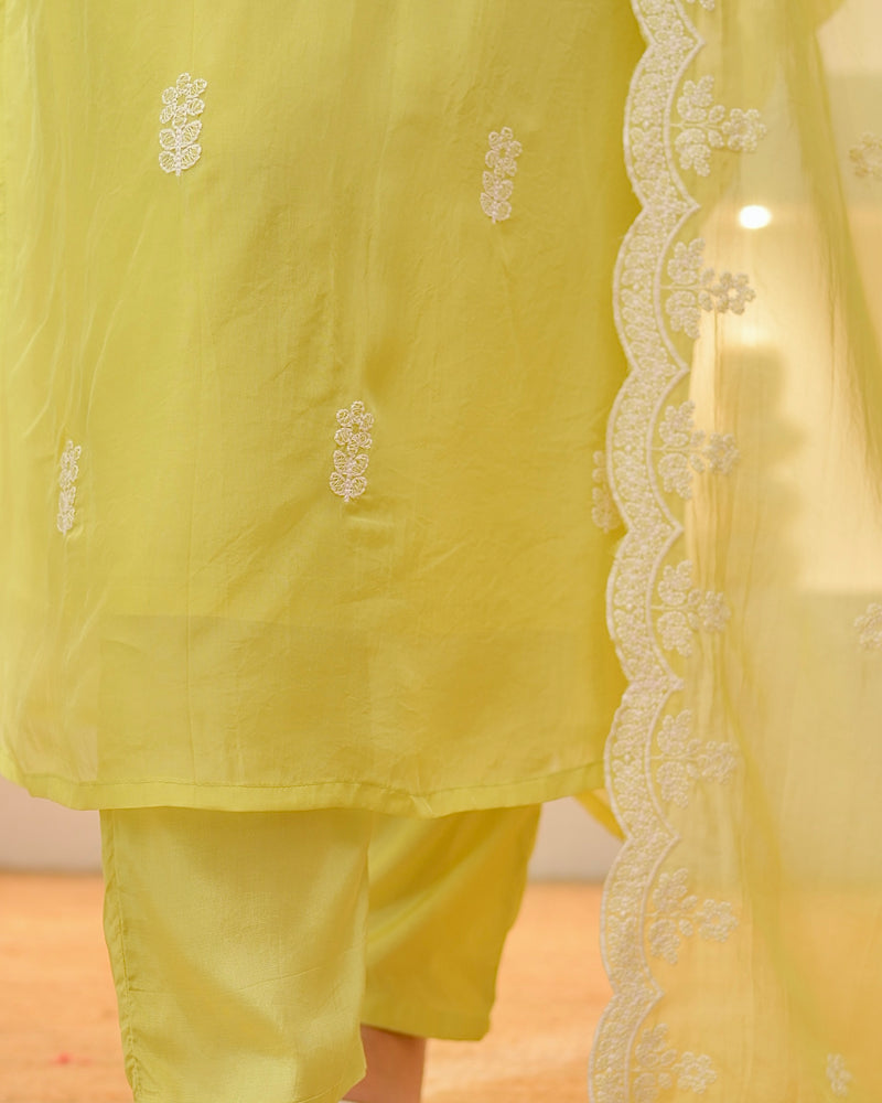 Greenish Yellow Lucknowi Organza Suit