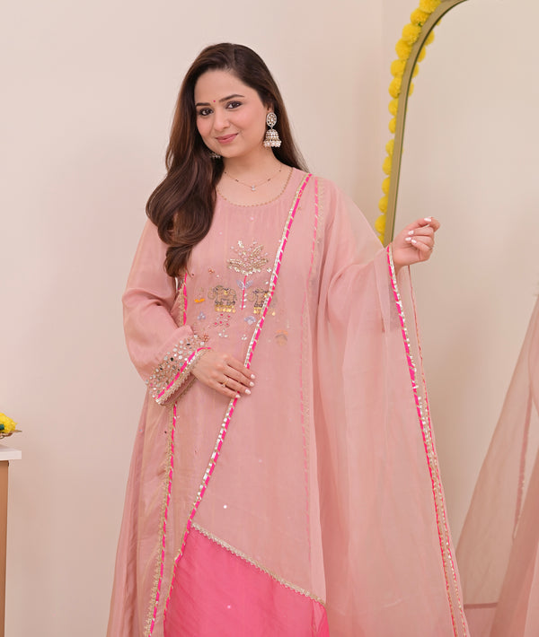 Noor-e-Gulabi Mul Chanderi Handwork A Line Suit