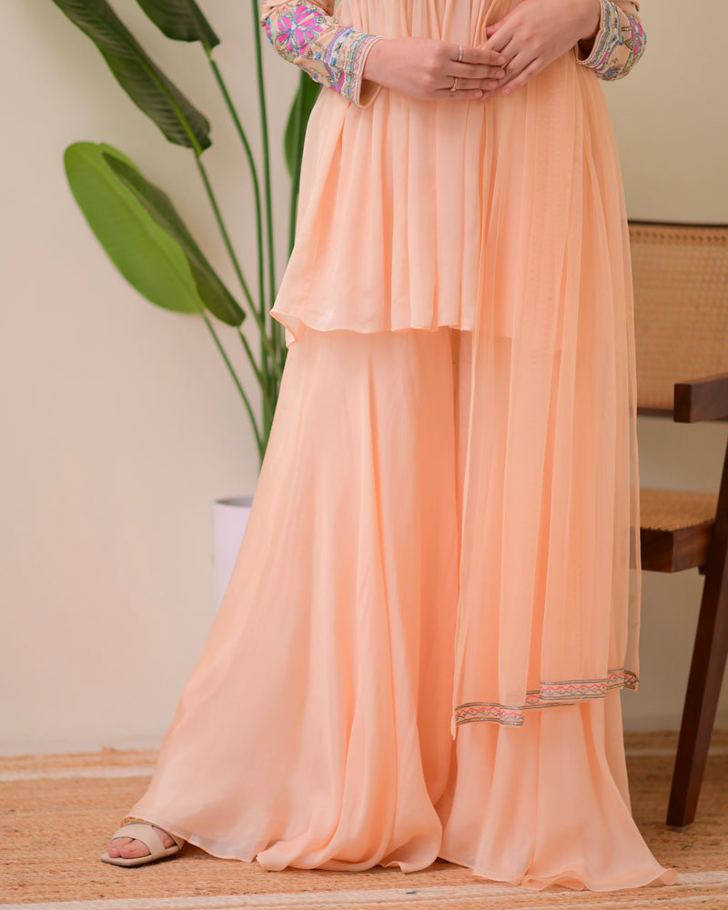 Blush Pink Handwork Chinnon Festive Sharara Set
