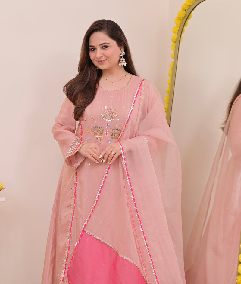 Noor-e-Gulabi Mul Chanderi Handwork A Line Suit