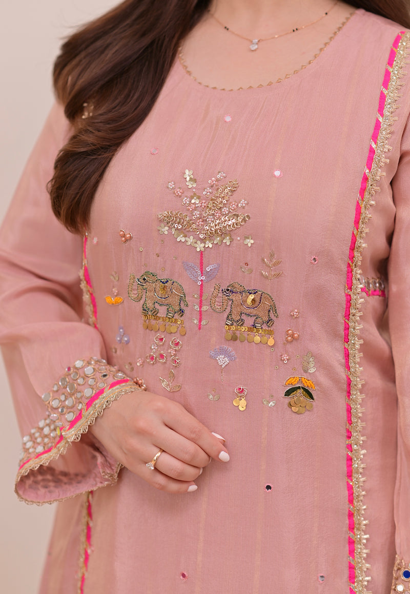 Noor-e-Gulabi Mul Chanderi Handwork A Line Suit