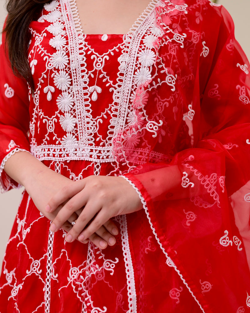 Red Organza Schiffli Anarkali