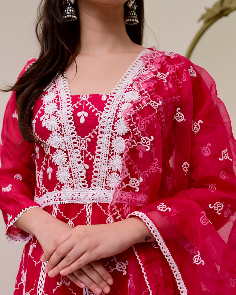 Rani Pink Organza Schiffli Anarkali