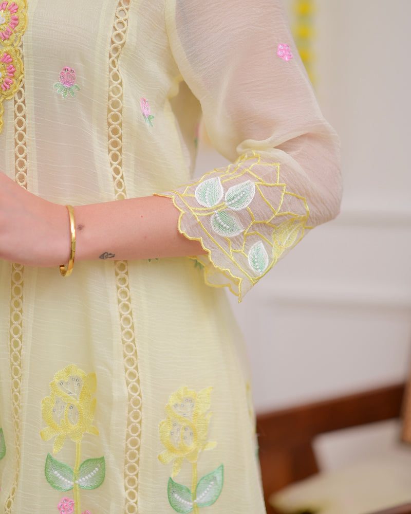 Vanilla Handwork Chiffon Crush Festive Anarkali