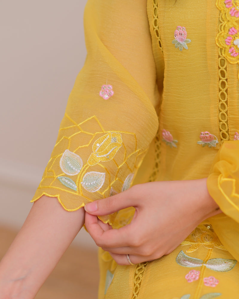 Yellow Handwork Chiffon Crush Festive Anarkali