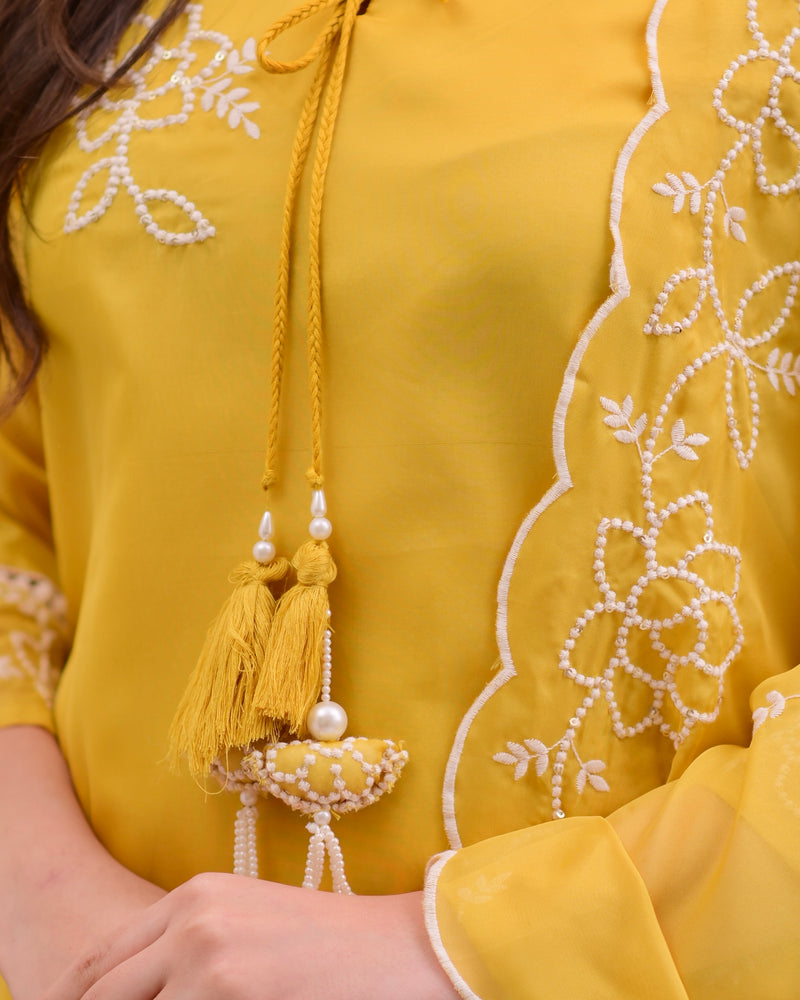 Mustard Yellow Threadwork Organza Festive Suit