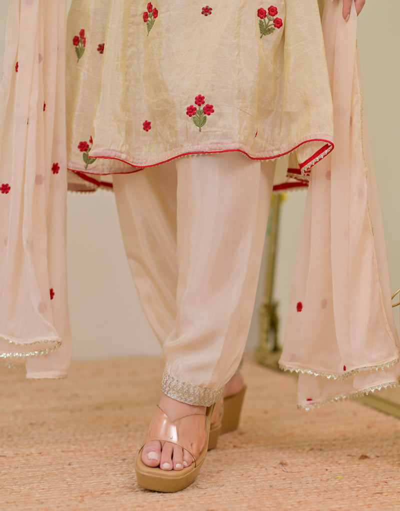 Ivory Shimmer Tissue Handwork A Line Festive Suit