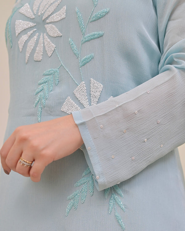 Powder Blue Handwork Chinnon Festive Co-ord