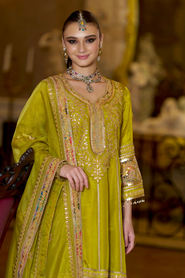 Emerald Glow Shimmer Tissue Gotapatti A Line Festive Suit