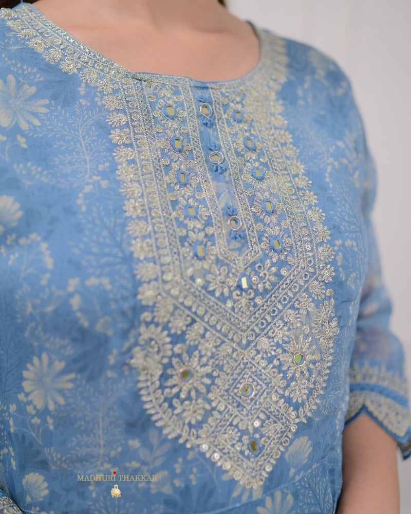 Blue Handwork Organza Anarkali