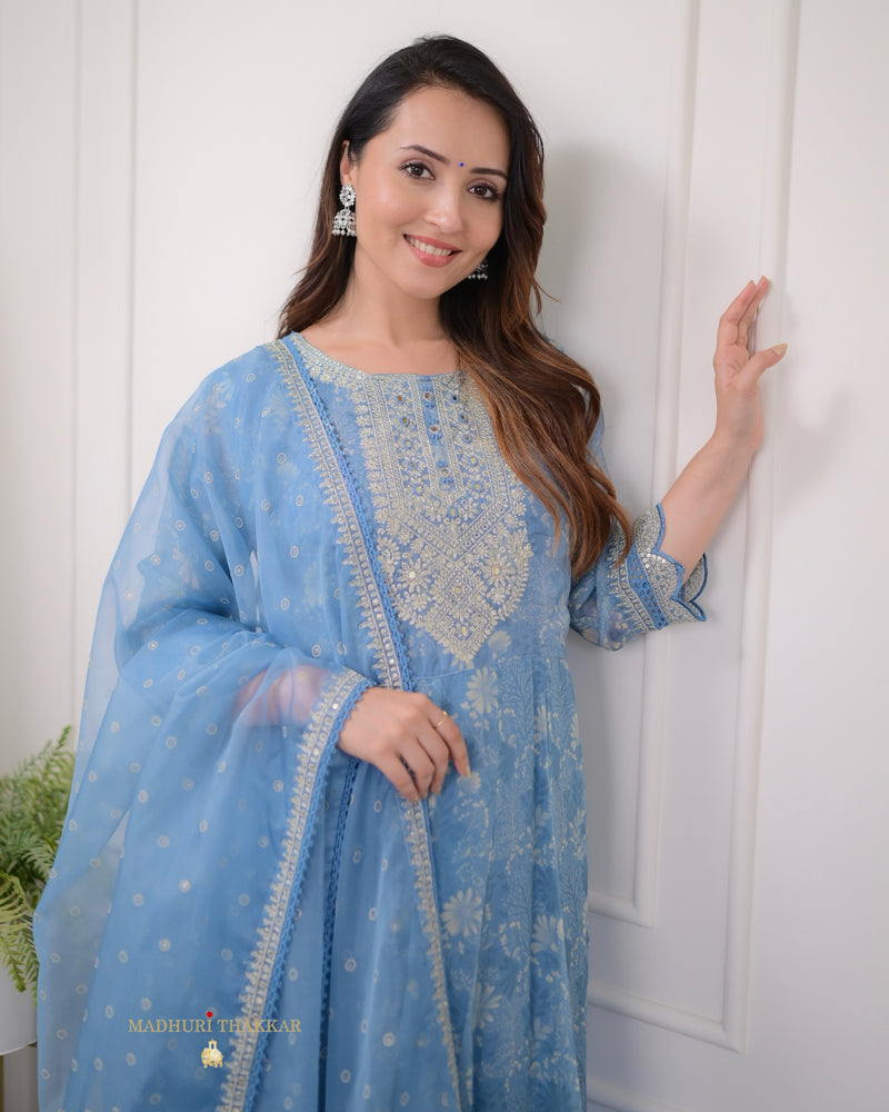 Blue Handwork Organza Anarkali