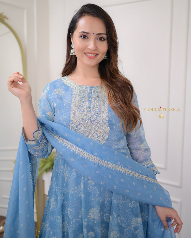 Blue Handwork Organza Anarkali