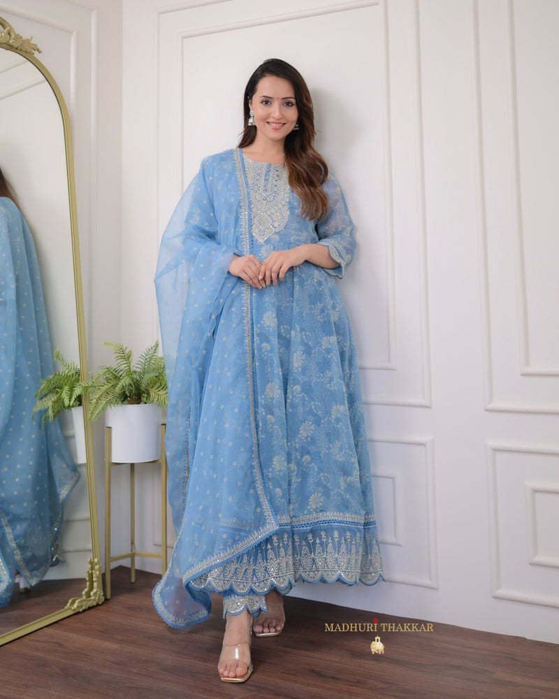 Blue Handwork Organza Anarkali