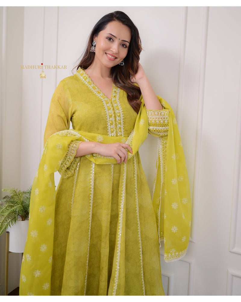 Greenish Yellow Handwork Organza Anarkali