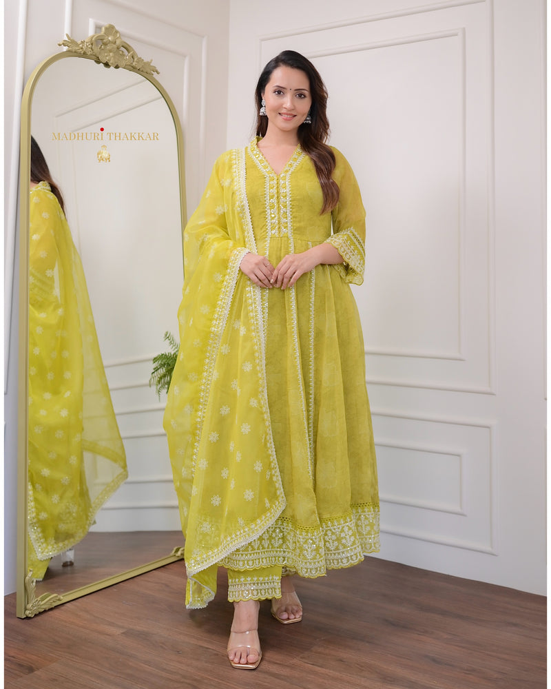 Greenish Yellow Handwork Organza Anarkali