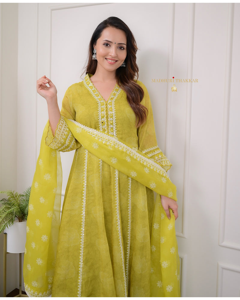 Greenish Yellow Handwork Organza Anarkali