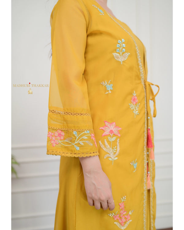 Yellow Embroidered Cape A Line Organza Set