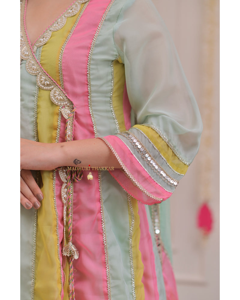 Multi Organza Pearlwork Anarkali Sharara Suit