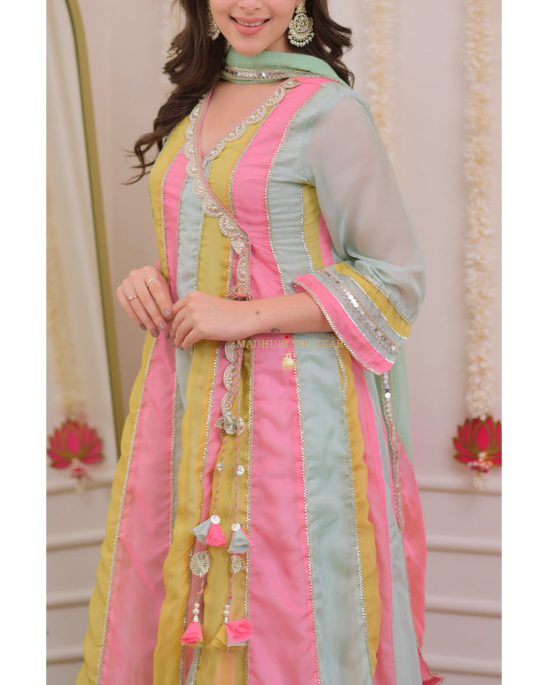 Multi Organza Pearlwork Anarkali Sharara Suit