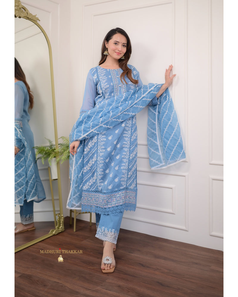 Blue Threadwork Organza Suit