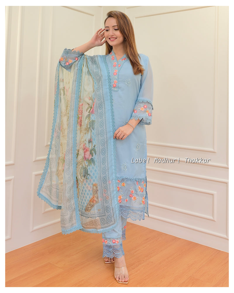 Powder Blue Threadwork Organza Suit