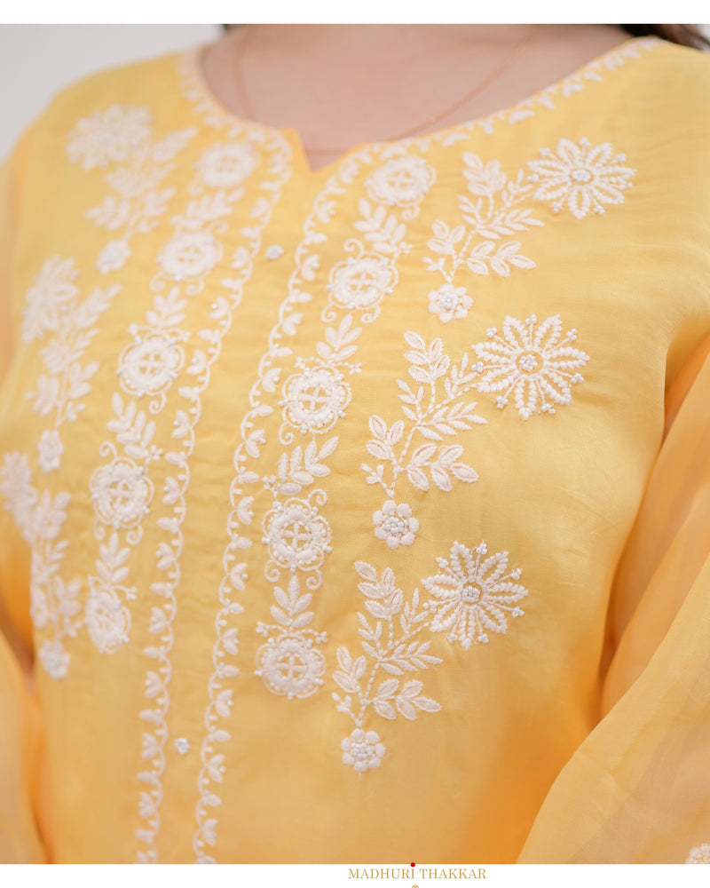 Mango Yellow Threadwork Organza Co-ord