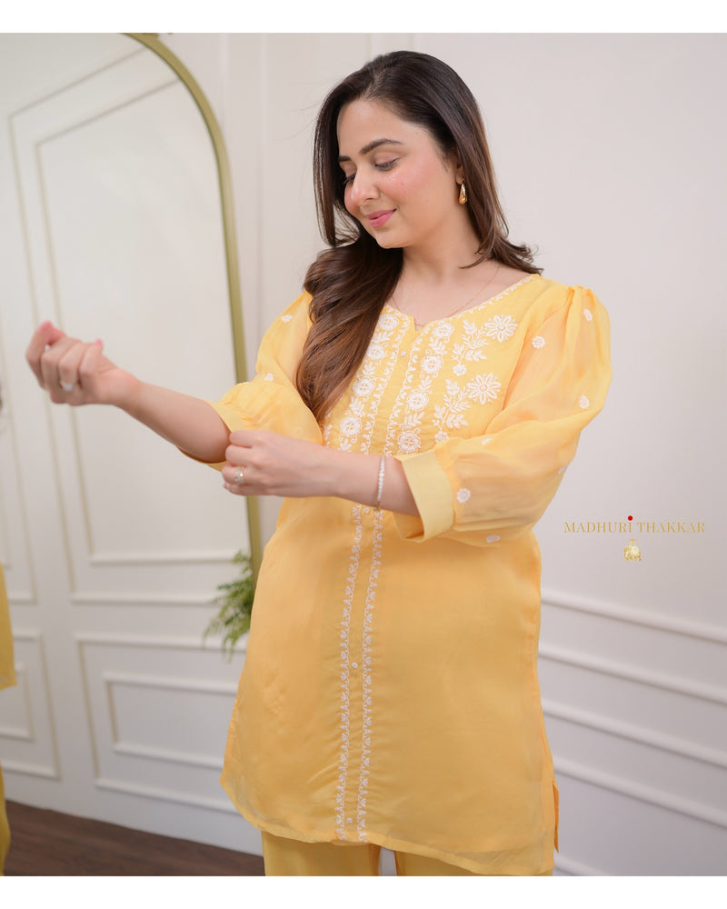 Mango Yellow Threadwork Organza Co-ord