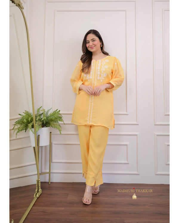 Mango Yellow Threadwork Organza Co-ord