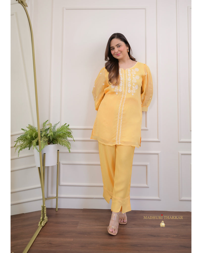 Mango Yellow Threadwork Organza Co-ord