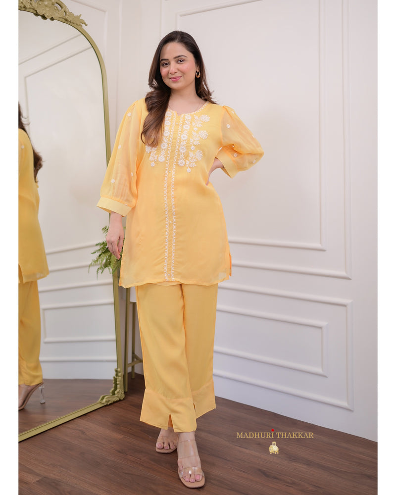 Mango Yellow Threadwork Organza Co-ord