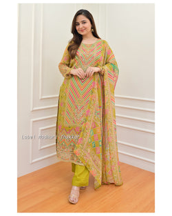 Greenish Yellow Handwork Organza Suit