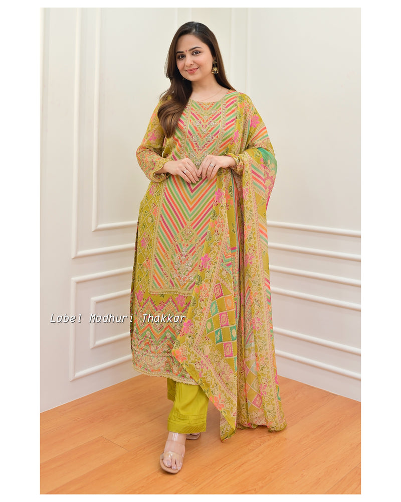 Greenish Yellow Handwork Organza Suit