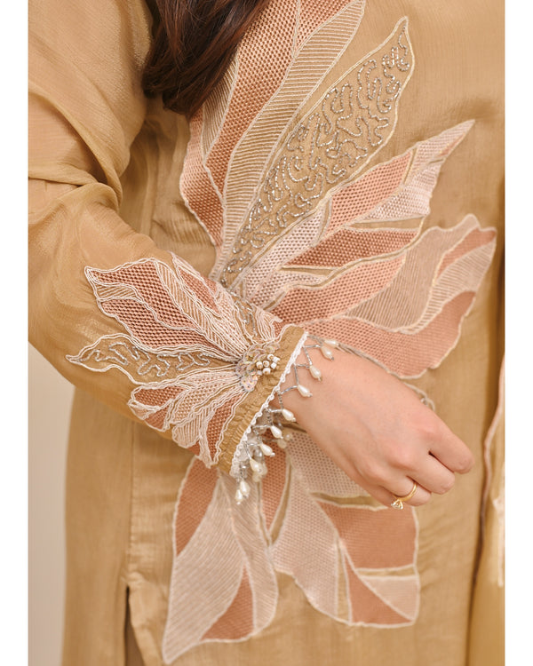 Champagne Bloom Handwork Chinnon Festive Sharara Set
