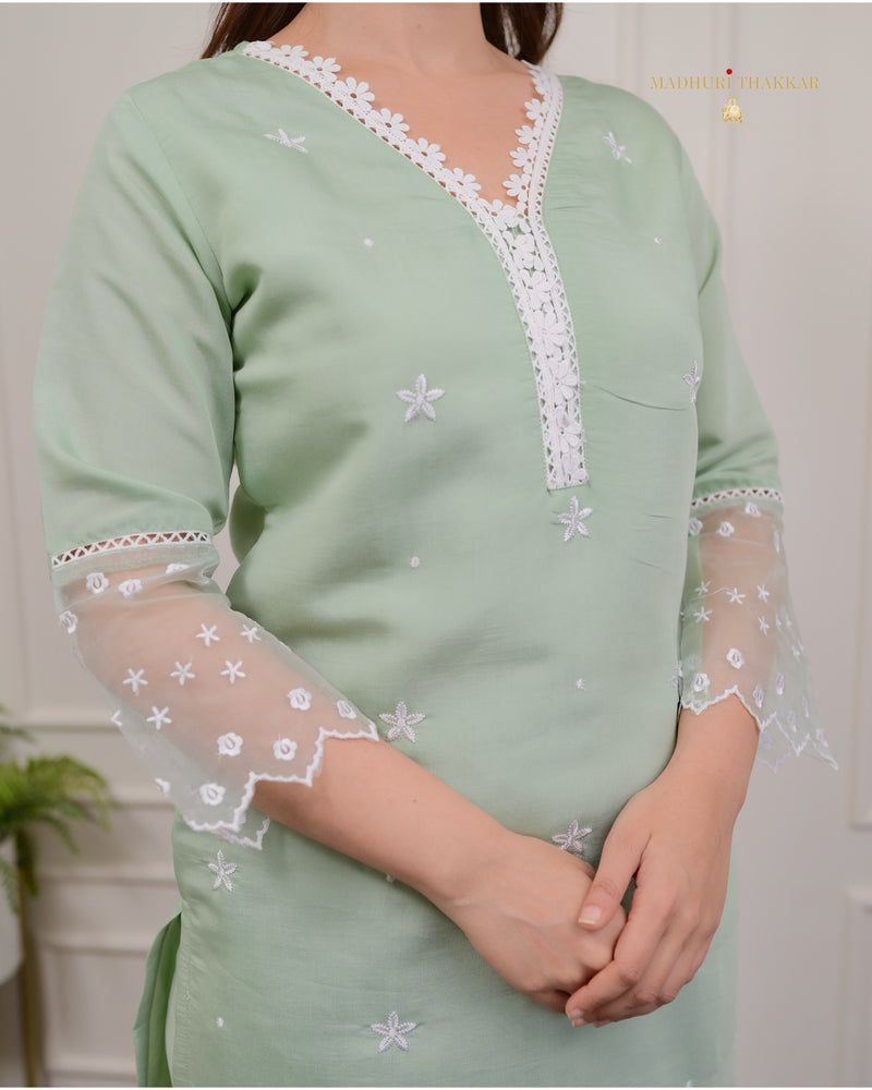 Mint Green Pakistani Lace Suit