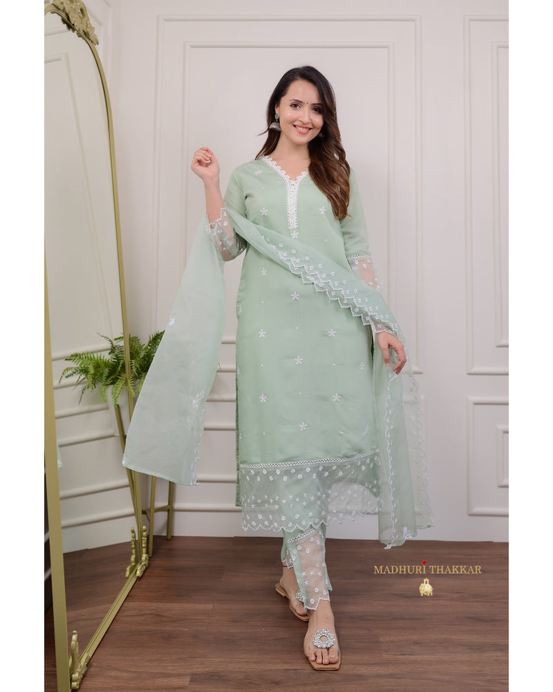 Mint Green Pakistani Lace Suit