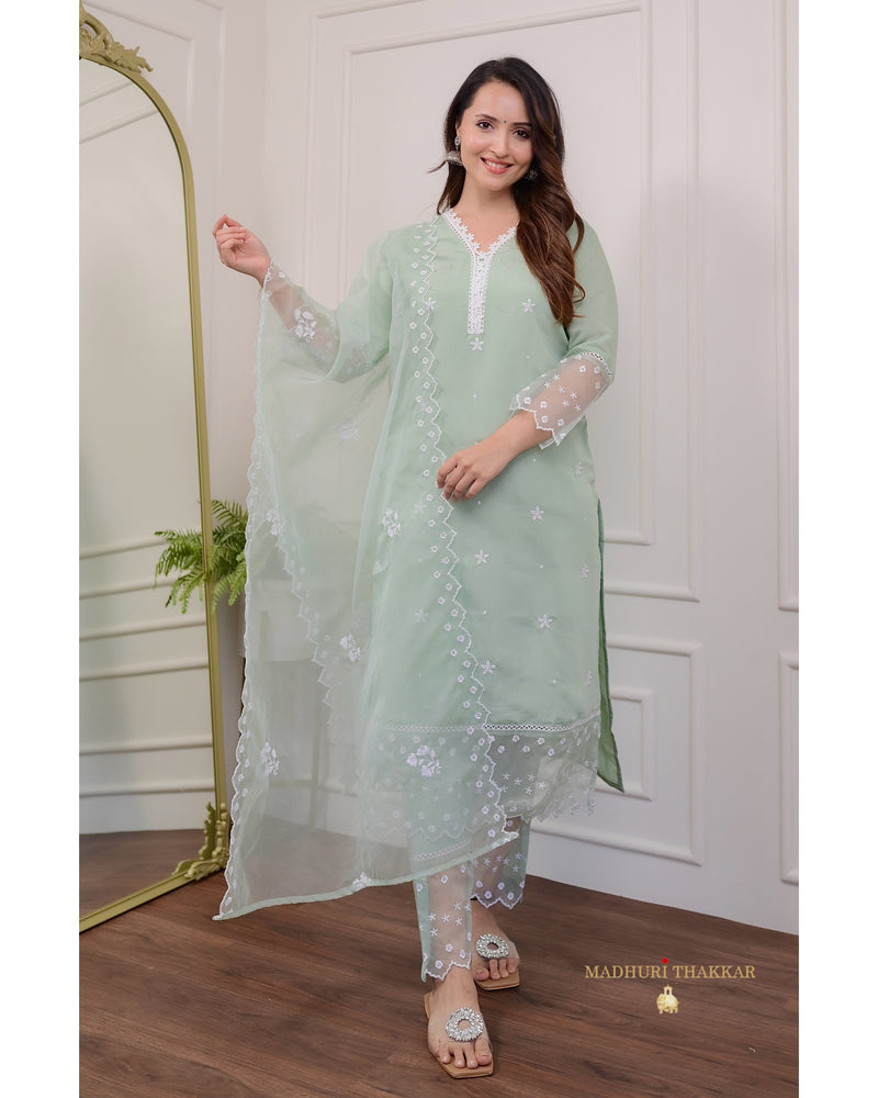 Mint Green Pakistani Lace Suit