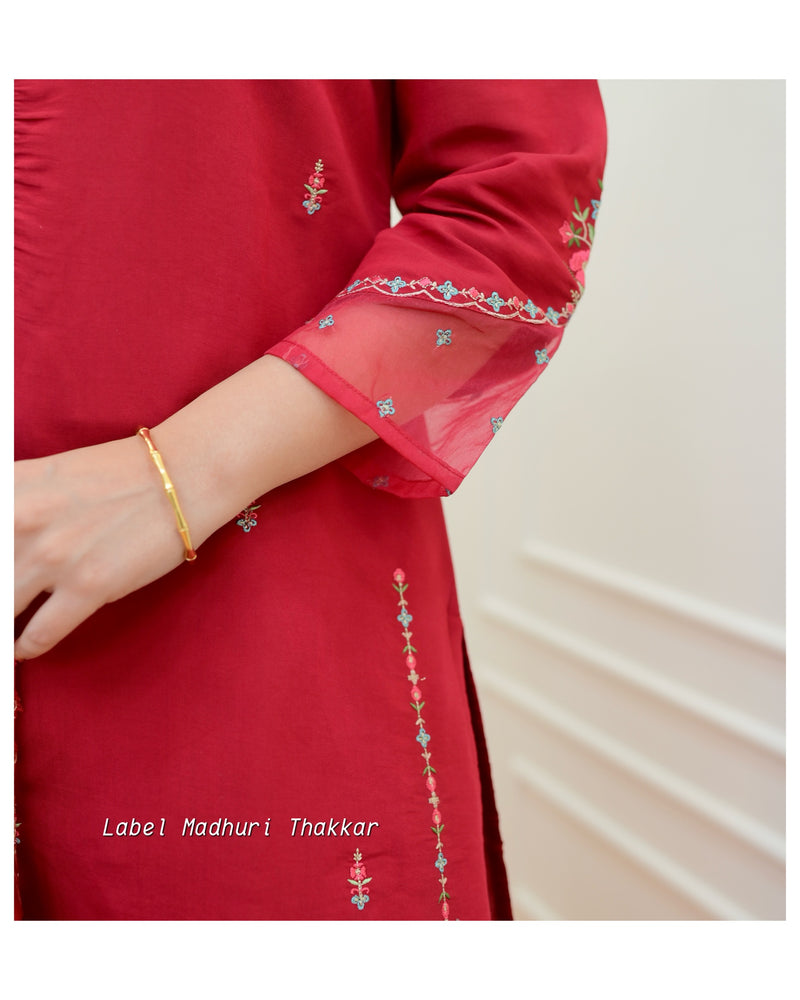 Red Thread Embroidered Suit