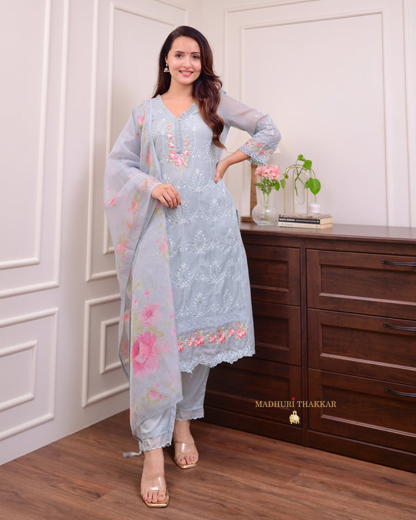 Powder Blue Pakistani Threadwork Organza Suit