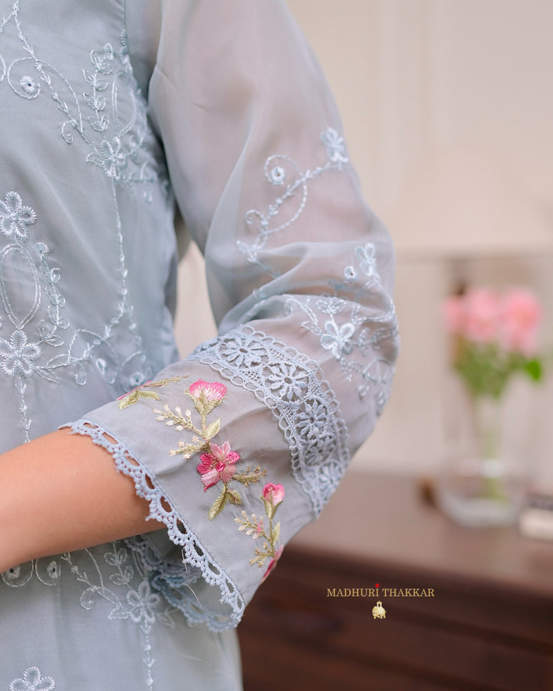 Powder Blue Pakistani Threadwork Organza Suit